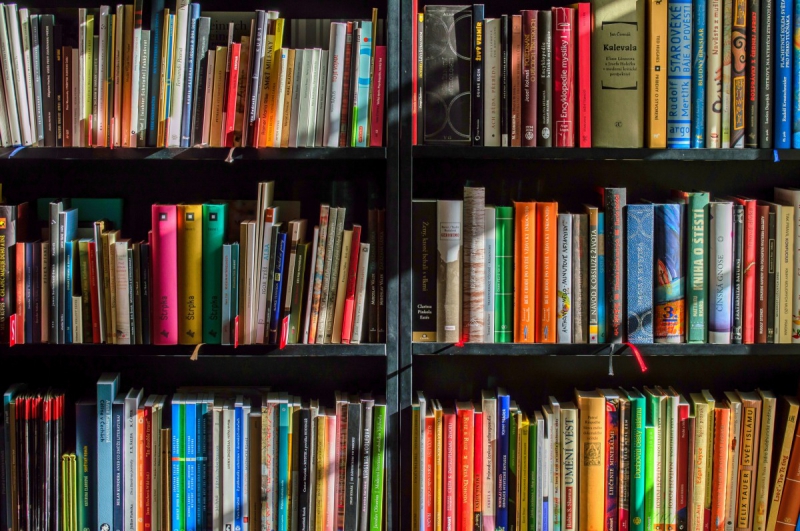boutique-SALLAGRIFFON-min_books_bookstore_book_reading_shop_writer_sale_books_read-822866